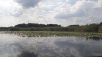 05_Parsteinsee
