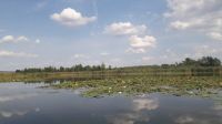06_Parsteinsee