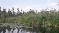 09_Parsteinsee